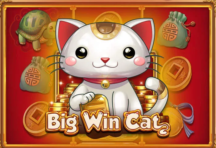 Spielen Sie auf der Oshicasino Website: Slots, Roulette, Blackjack