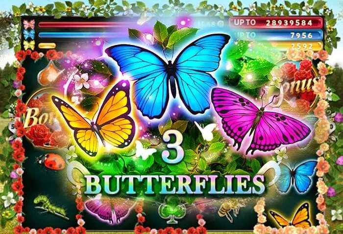 Spielen Sie auf der Oshicasino Website: Slots, Roulette, Blackjack