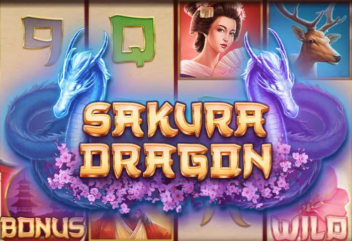 Oshicasino Online Casino: Große Auswahl an Spielautomaten